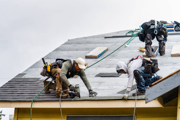 Professional Storm Damage Roof Repair technician working in Hadley, PA